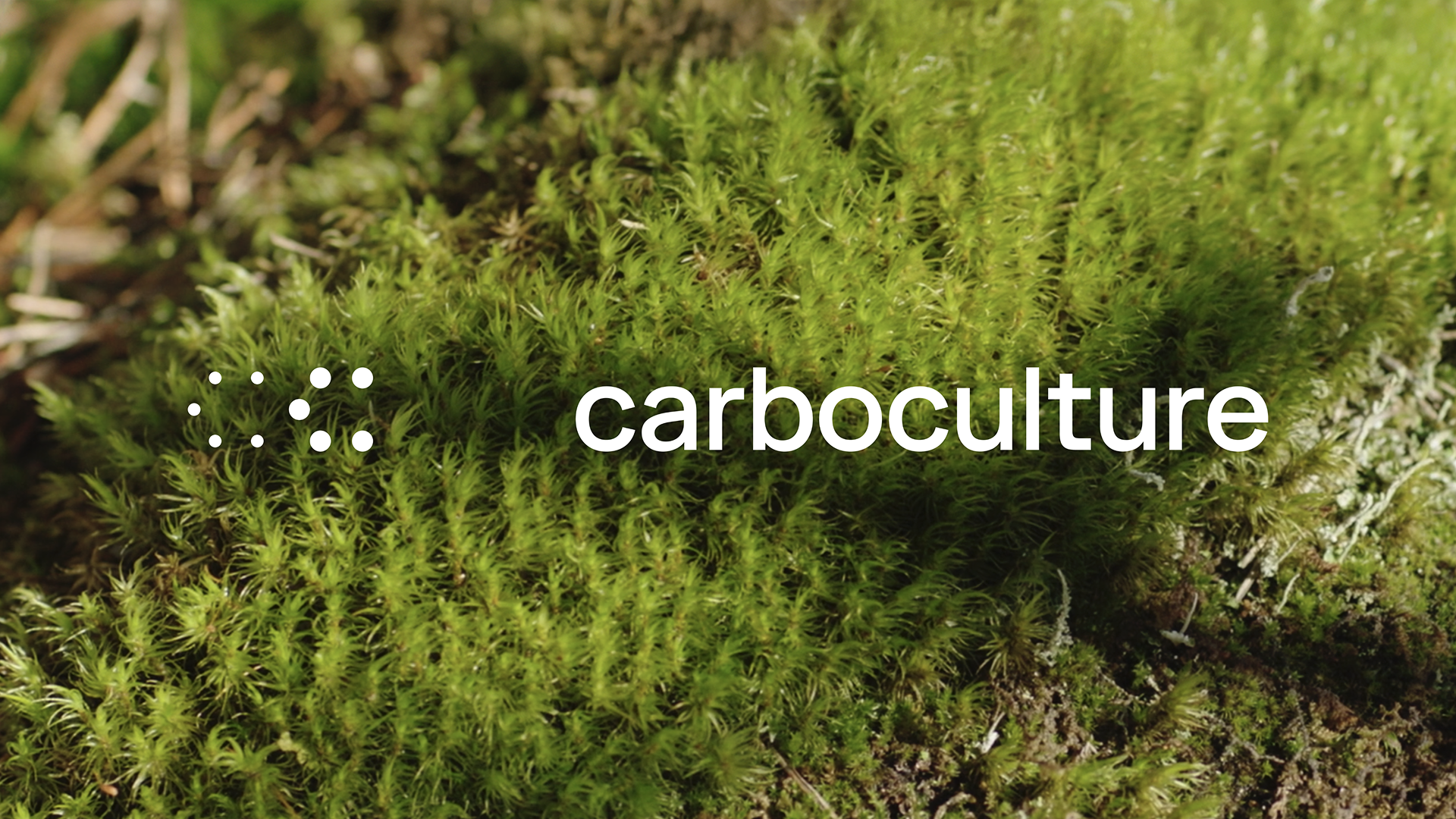 Carbo Culture: campaign visual