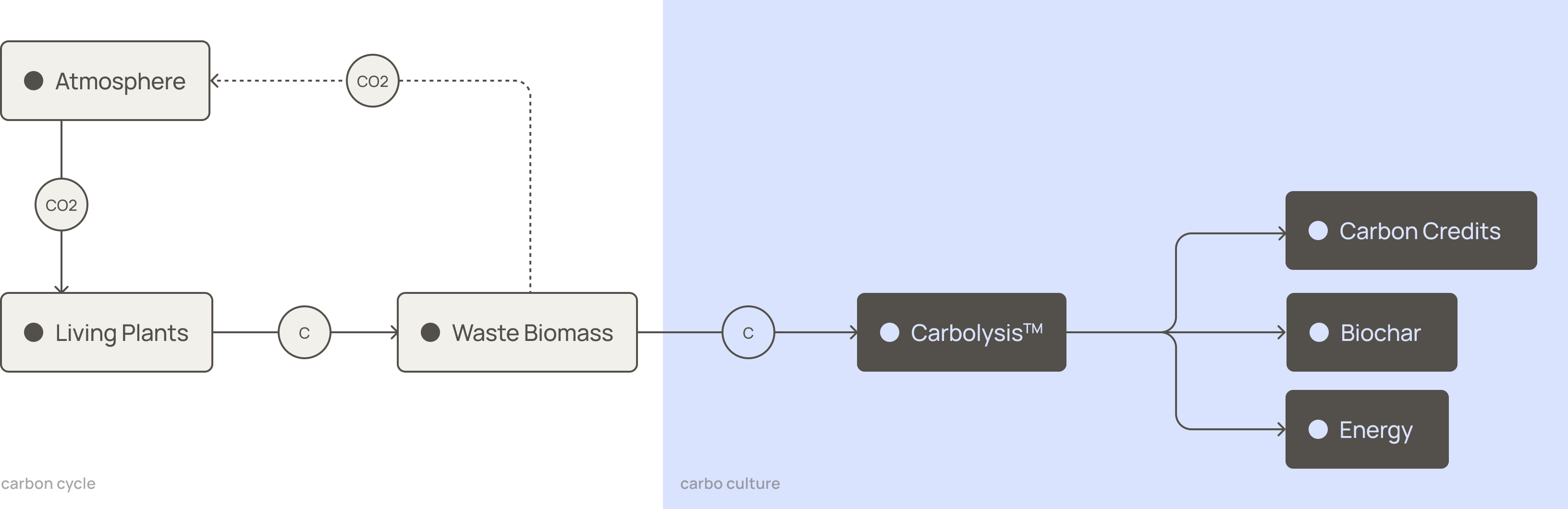 Carbo Culture: carbon cycle diagram